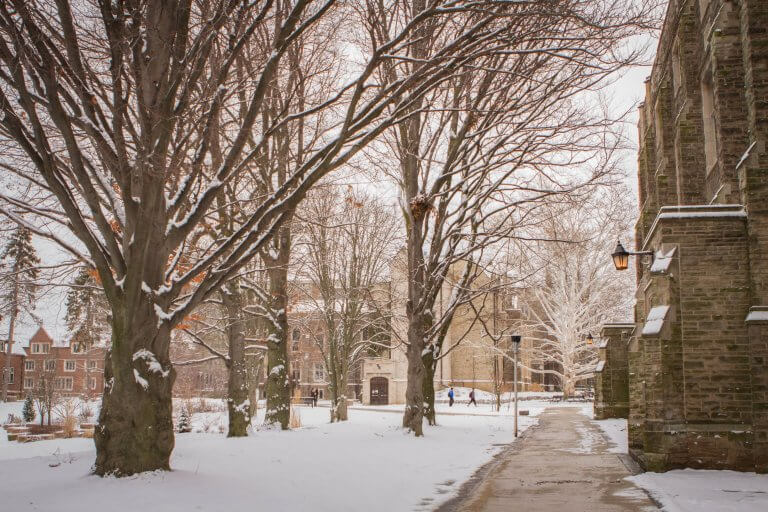Pathway behind Hamilton Hall with snow on the ground and trees